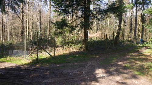 Photo 6x4 pheasant pen - pen, in