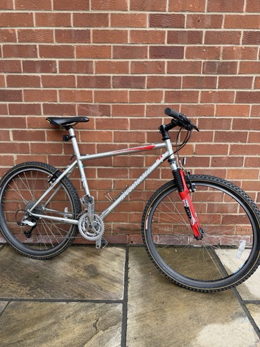 Specialized rockhopper comp - specialized,