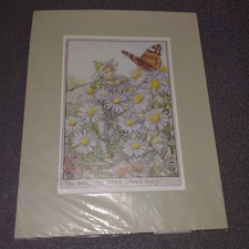 Vintage Photo Lithograph The