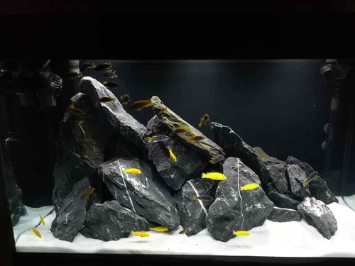 Aquarium stone rock natural - aquarium,