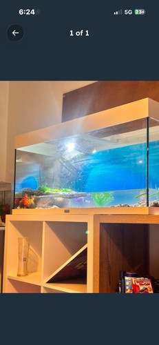 Standard rectangle glass - rectangle,