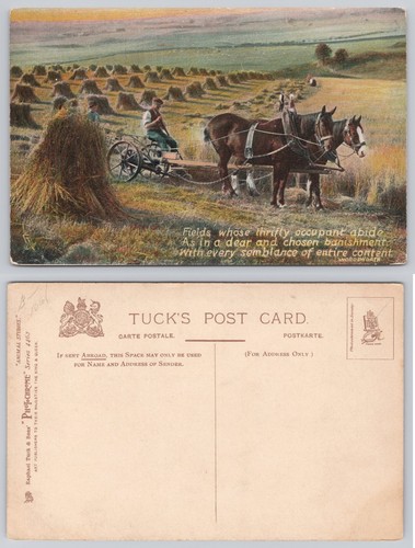 Raphael tuck postcard harvest - raphael,