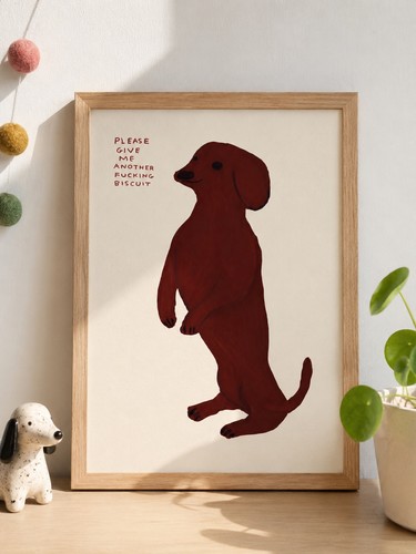 David shrigley funny dog - funny,