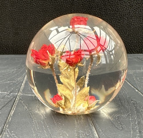 Vintage hippocampus - vintage,
