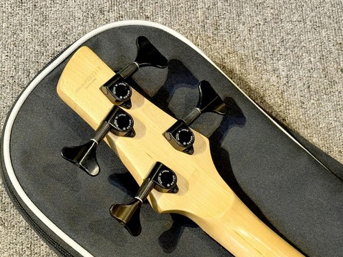 Ibanez sr600 electric - ibanez,