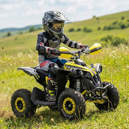 Ion 48v electric - ion,