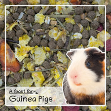 Guinea Pig Food 1.8kg –