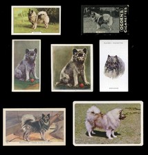 KEESHOND Dutch Barge Dog Cigarette & Trade Cards - Collection of 7 Different