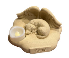 Angel Golden Retriever on