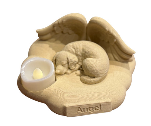 Angel golden retriever - retriever, on