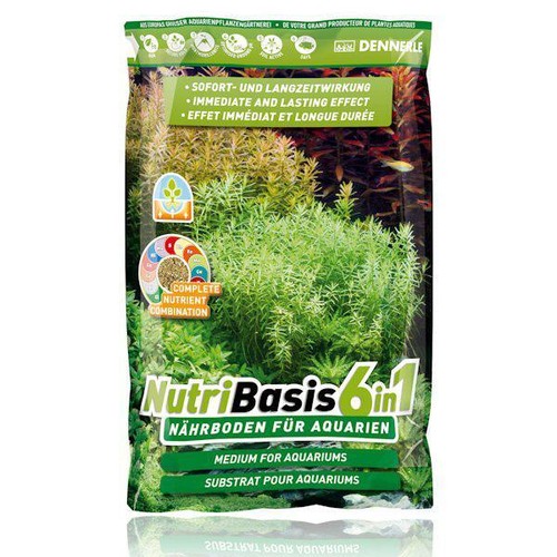 Dennerle nutribasis 1 - dennerle, in