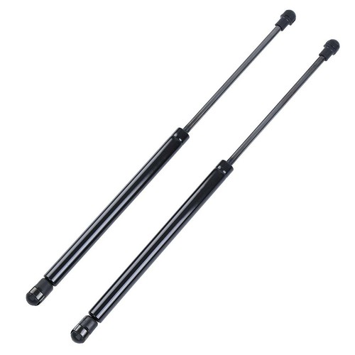 Tailgate boot gas - tailgate, struts