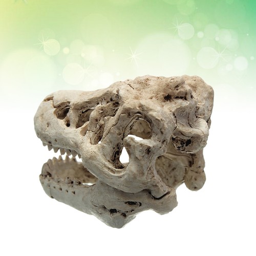 Tropical fish tank - tropical,