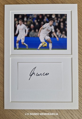 Swansea city goncalo franco - swansea,