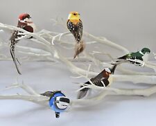 5 Artificial Birds Clip On