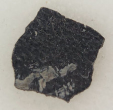 Hadrosaur Egg Shell Fossil -