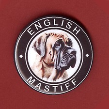 OLD ENGLISH MASFIFF  DOG 32mm METAL BUTTON PIN BADGE