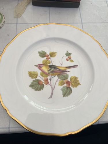 Vintage spode copeland dinner - vintage,