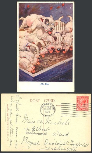 Bonzo dog studdy 1923 old - bonzo,
