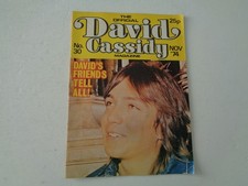DAVID CASSIDY - OFFICIAL