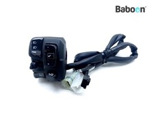 Switch Handlebar Left Hand