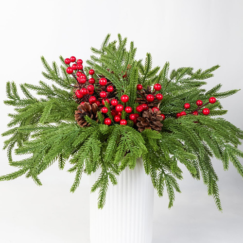 6pcs norfolk pine - 6pcs,