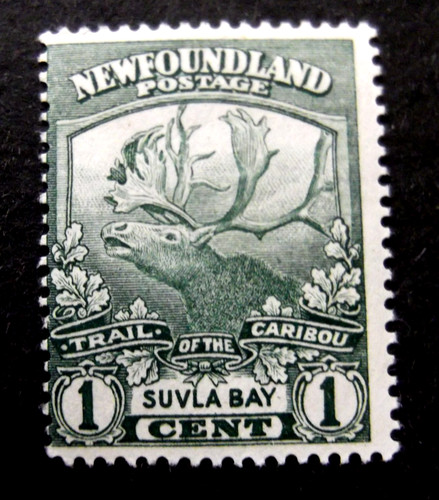 Newfoundland 1919 green - newfoundland-1919-1c,
