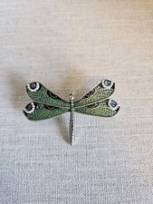 Beautiful Green Dragonfly