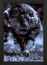 Animals 6 Framed Wall Art