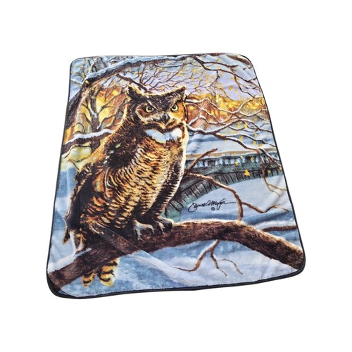 James meger night - james, owl