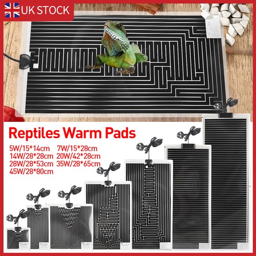 Adjustable temperature reptile - temperature,