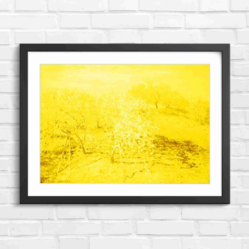 Blooming orchard trees - orchard,