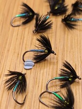 Fly Fishing ,trout