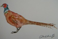 Original pen, ink and watercolour painting of a Pheasant on watercolour paper