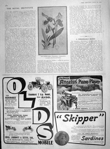 Original old antique print - old,