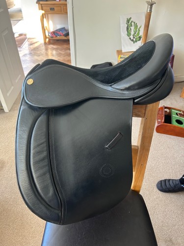 Oakland show saddle - saddle, 17/17.5