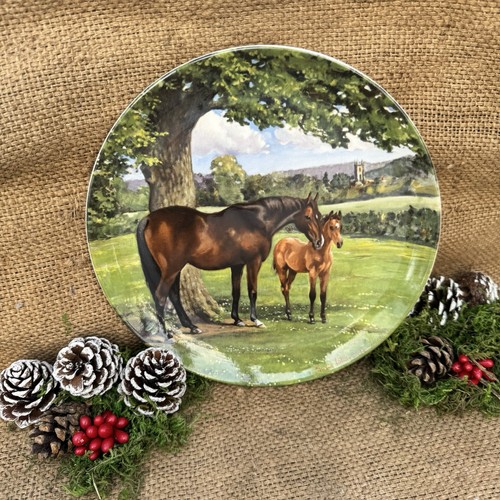 Vintage spode english - vintage,