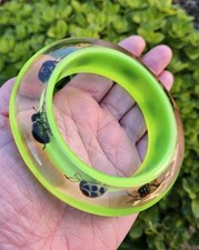 Vintage Encased Real Bugs