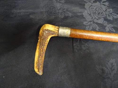 Vintage antler horn walking - horn,