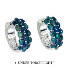 925 Sterling Silver Earrings