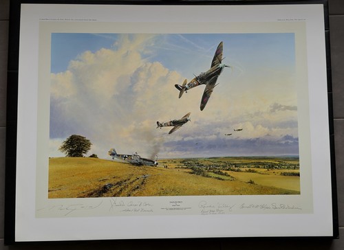 Robert taylor eagles prey - eagles, raf