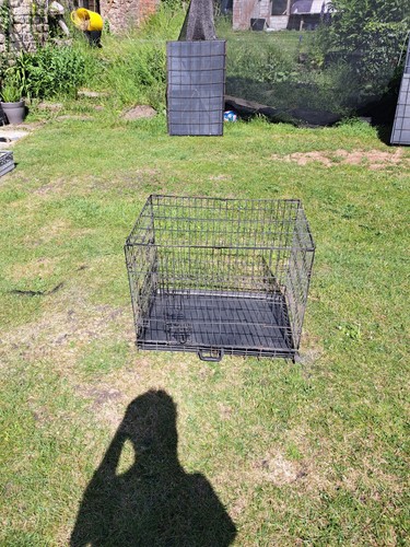 Metal dog cage puppy - dog, training