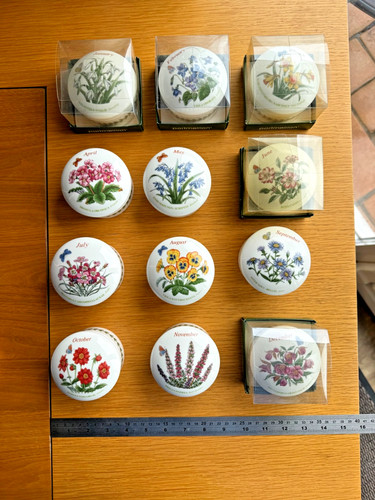 Choice portmeirion flower - choice,