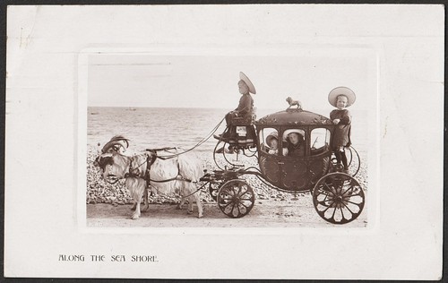 Worthing postcard cinderella - worthing,