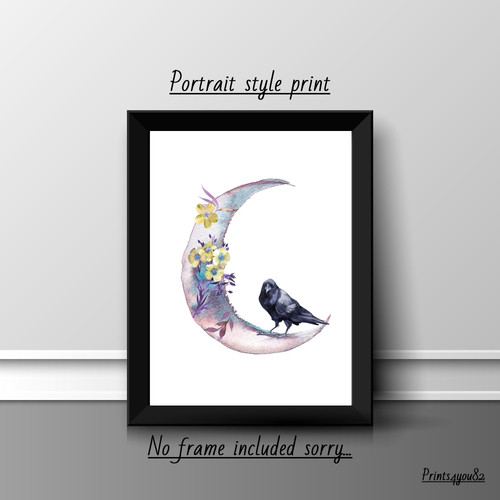 Raven bird picture - raven,