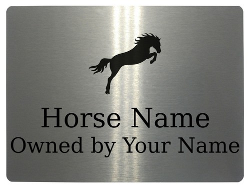 323 custom personalised horse - 323,