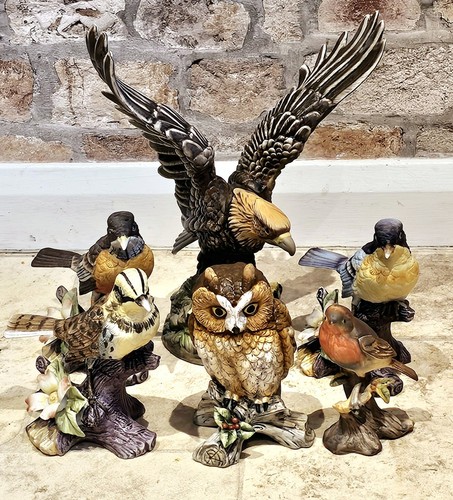 Collection porcelain - collection,