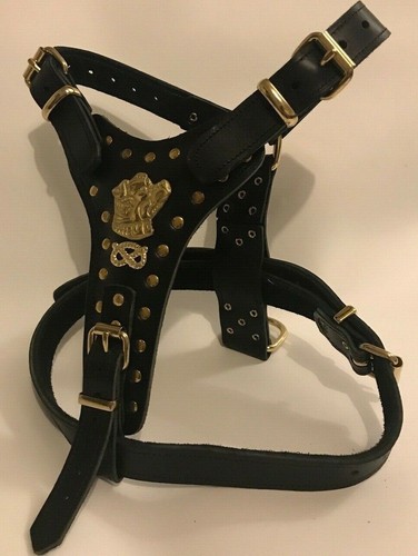 Dog harness real - dog,
