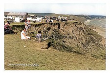 ptc2211 - Yorks. - Primrose