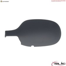 CASE EXTERIOR MIRROR